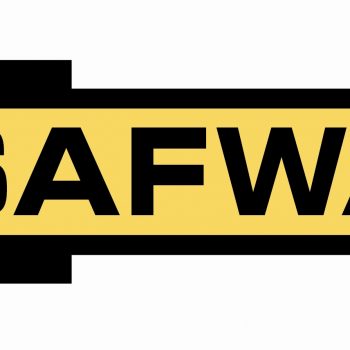 Safway Logo imagen Horiz